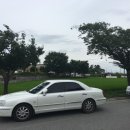 봄이네쭈꾸미앤명태조림 이미지