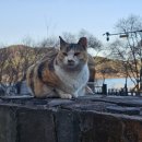 금광휴게소 이미지