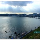 바닷길 풍경 이미지