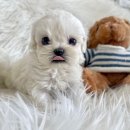 균영농장 이미지