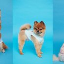 화장품BYC 이미지