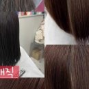 해르헤어