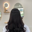 뮤즈 앤 포레 이미지