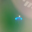 몽땅꾸이꾸이 이미지