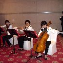 서울대학교 국제대학원 이미지