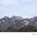 봉식이 Daum카페