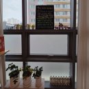 점핑올레 | 배곧에서 가장 핫한 점핑 클럽! 운동, 다이어트, 유전자 검사까지 한 번에! 배곧 점핑은 젠스타!