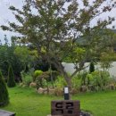 내남농협 하나로마트 이미지