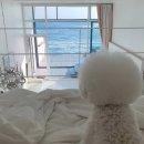 통유리오션뷰펜션 이미지