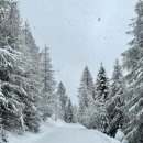 캠퍼스타운한의원 이미지