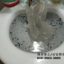 영등동-60 이미지