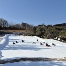 금곡반점 이미지