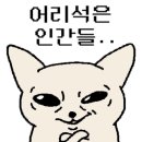 가야뭉티기 이미지