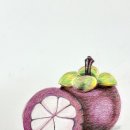 색연필화A 이미지