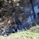 노암1리 행갈 이미지