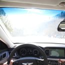 밍크목장 이미지