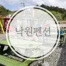 양양 더 하루 펜션 | 양양 애견동반 펜션 &lt;낙원펜션&gt; 하루 숙박 후기