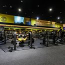 핏-타운 이미지