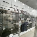 준동물병원 이미지