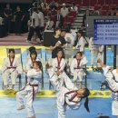 제일경희태권도 이미지