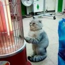 좋구만 이미지