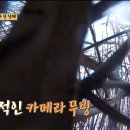 통발집 이미지