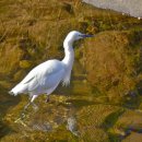 영산대학교(해운대) 이미지