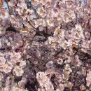 신사역 5번출구 앞 횡단보도 이미지