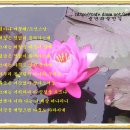 머물래 이미지