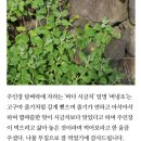 천포민박 네이버블로그