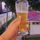 트러스트체크 이미지