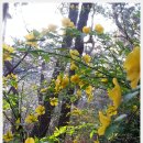 금강공원2 이미지