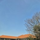 자유로스크린골프 | [3월 파주CC 라운딩 후기] 이른 봄 골프장 잔디 상태 솔직 리뷰 + 그늘집 맛집 정보까지