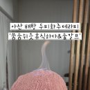 쑴숨쉬듯휴식하다&숲칼프 | 천안아산독소관리두피화주테라피'쑴숨쉬듯휴식하다&숲칼프'지루성두피솔직후기