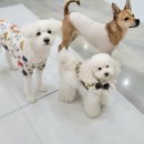 위례유치원 이미지