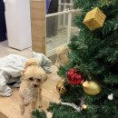 올리스24 두류공원점 이미지