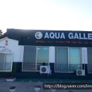 민 민박 이미지