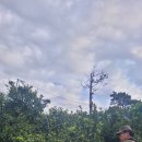 종철농장 이미지