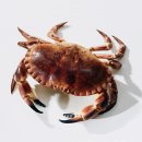 청춘바다 이미지