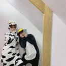 포토 프렌즈 이미지