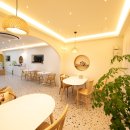 옐로우연화 이미지