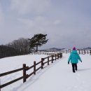 하늘목장 이미지