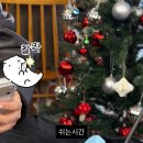 인투더씨프리다이브