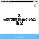 판암셀프세차 티스토리