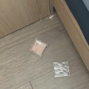 마시꼬 | HBD to U 🐻♥️