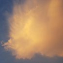 구름농장 이미지