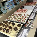 신춘세탁 | 사망년의 개강