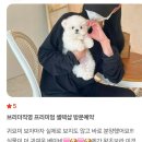 하나켄넬 | 메종드켄넬 오픈 후 감사인사, 벌써 이렇게 많은 가족이 생겼습니다.