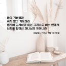 하나님의 교회 오늘의 1분 묵상 그리스도인으로서 항상 기뻐해야 할 이유 이미지