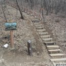 늠내길 1코스 숲길 이미지